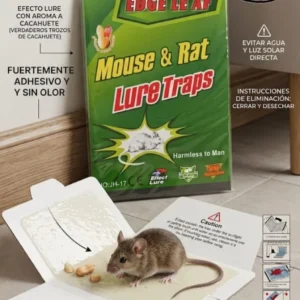 Trampa Pegamento Adhesivo Para Rata / Raton